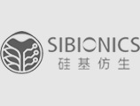 硅基仿生
